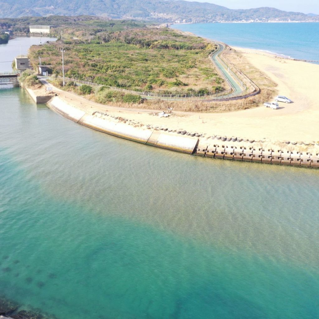 画像コンテンツ